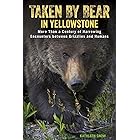 Taken by Bear in Yellowstone: A Century of Harrowing Encounters between Grizzlies and Humans