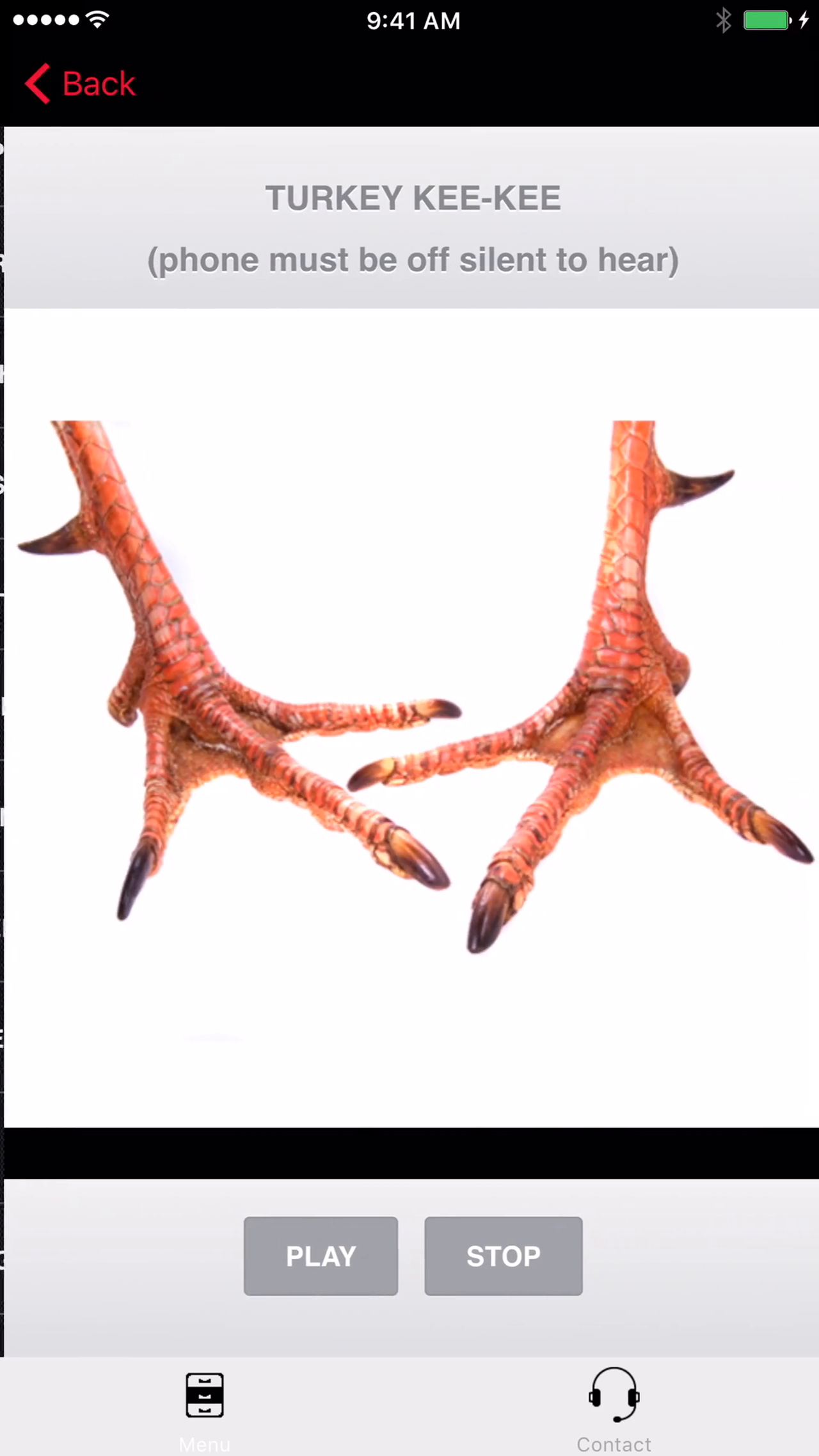 TURKEY CALLS for Hunting Big Fall Tom for