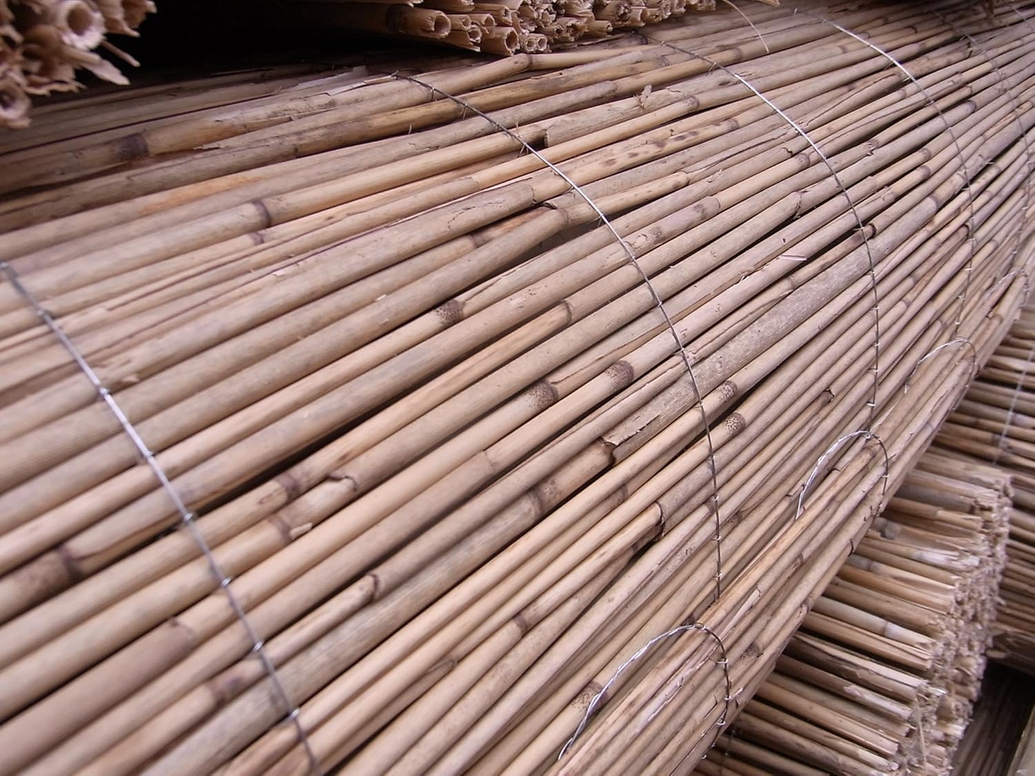 nur 3, BIHL Schilfmatte Sichtschutz Schilfrohrmatte Windschutz