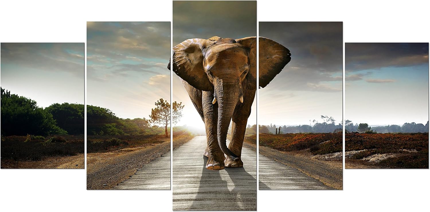 Best living room koi decor