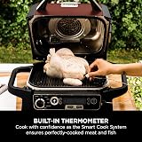 Ninja Woodfire Outdoor Grill Smoker Air Fryer 7 Functions Red/Black view 9