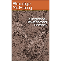 Singapore - Development Paradox book cover
