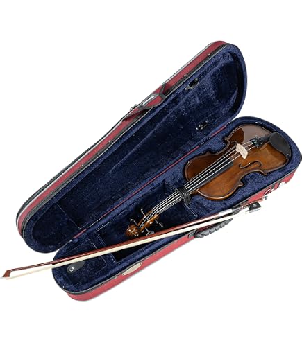 Amazon.com: Stentor 1400 3/4 Violin : Musical Instruments