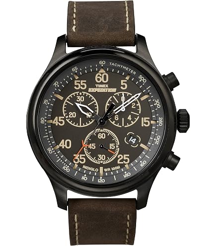 Amazon.com: Timex Men's Expedition North Field Post 43mm Watch