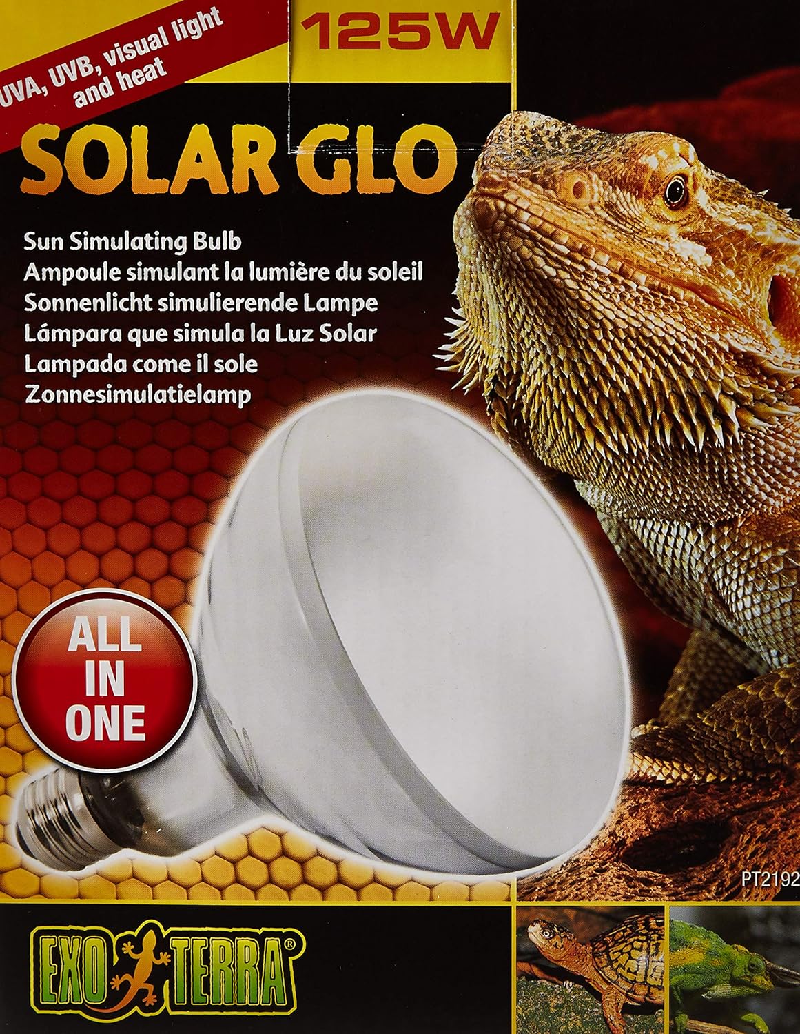 solar glo bulb