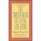 The Tibetan Book of Living and Dying: The Spiritual Classic & International Bestseller: Revised and Updated Edition