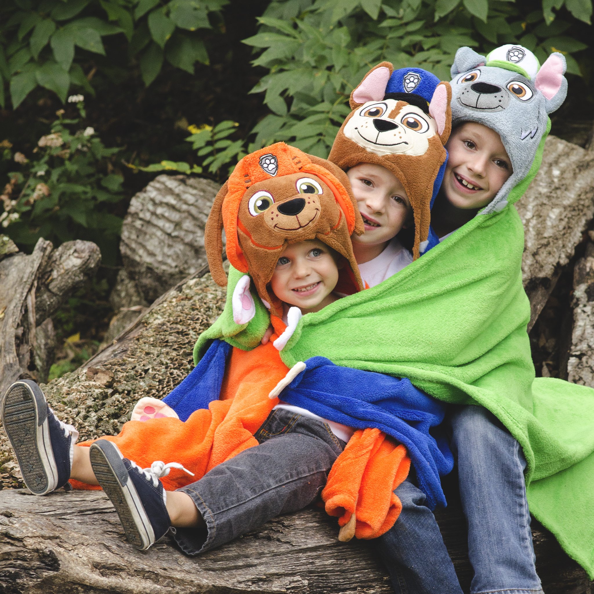 comfy critters rocky