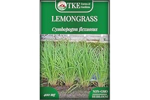 TKE Farms & Gardens - Lemongrass Seeds for Planting, Over 750 Non-GMO Seeds, Grow Indoors & Outdoors for Fresh Herbs Year Round, Easy-to-Grow Aromatic Herb for Cooking, Teas & Wellness