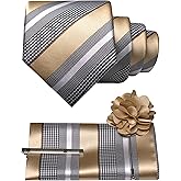 JEMYGINS Mens Striped Tie and Lapel Pin Necktie Pocket Square and Tie Clip Sets for Business Casual 4PCS