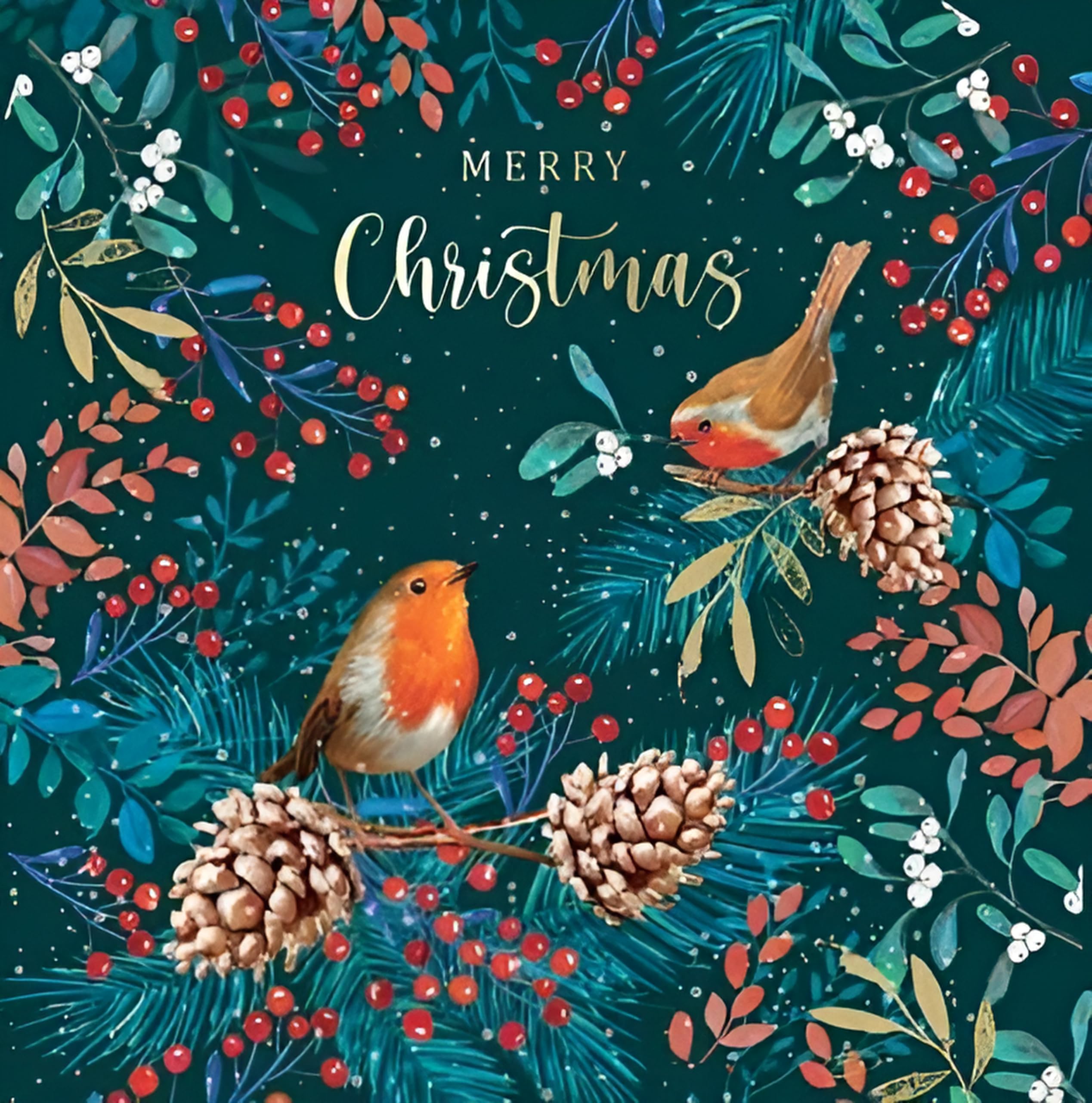 Noel Tatt Charity Christmas Cards Pack of 10 - Robins and Winter Foliage Design - Festive Christmas Cards Multipack - In Aid of UK Charities