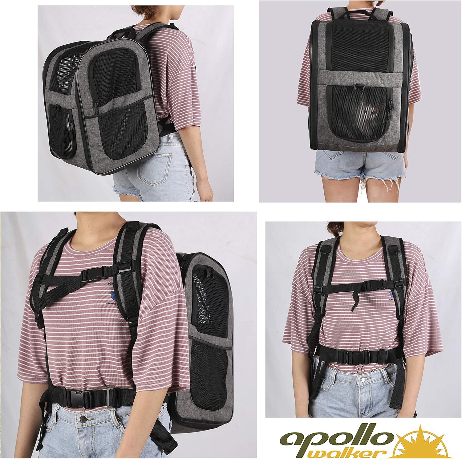 apollo walker Pet Carrier Backpack for Large/Small Cats and Dogs, Puppies, Safety Features and Cushion Back Support | for Travel, Hiking, Outdoor Use (Gray): Pet Supplies