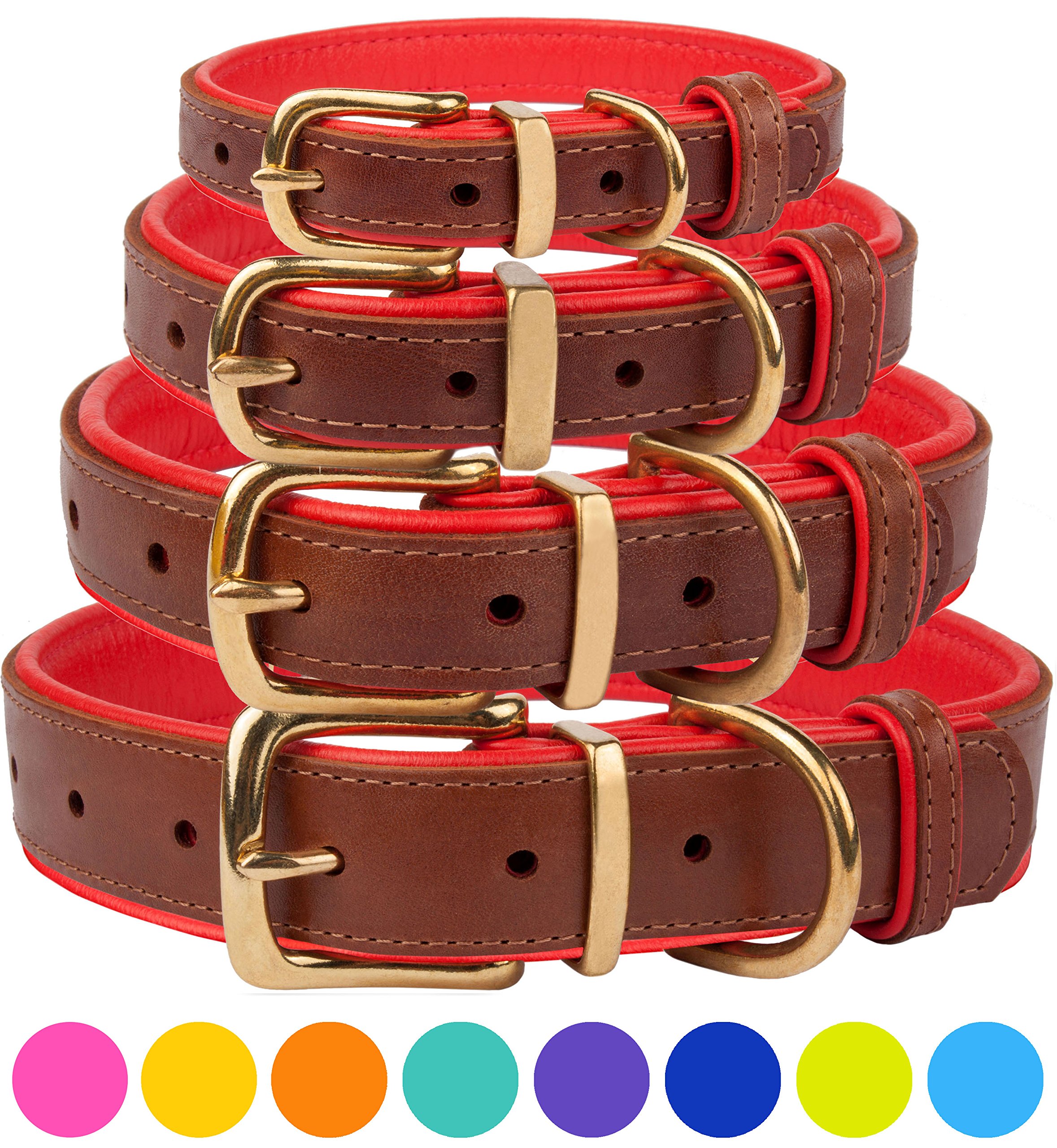 CollarDirect Leather Dog Collar Brass Buckle Soft Padded Puppy Small