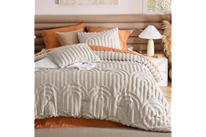 Bedsure Boho Tufted Queen Comforter Set - Beige Boho Bedding Comforter Sets, 3 Pieces Farmhouse Shabby Chic Embroidery Bed Set, Soft Fluffy Cozy Arch Pattern Comforter for All Seasons