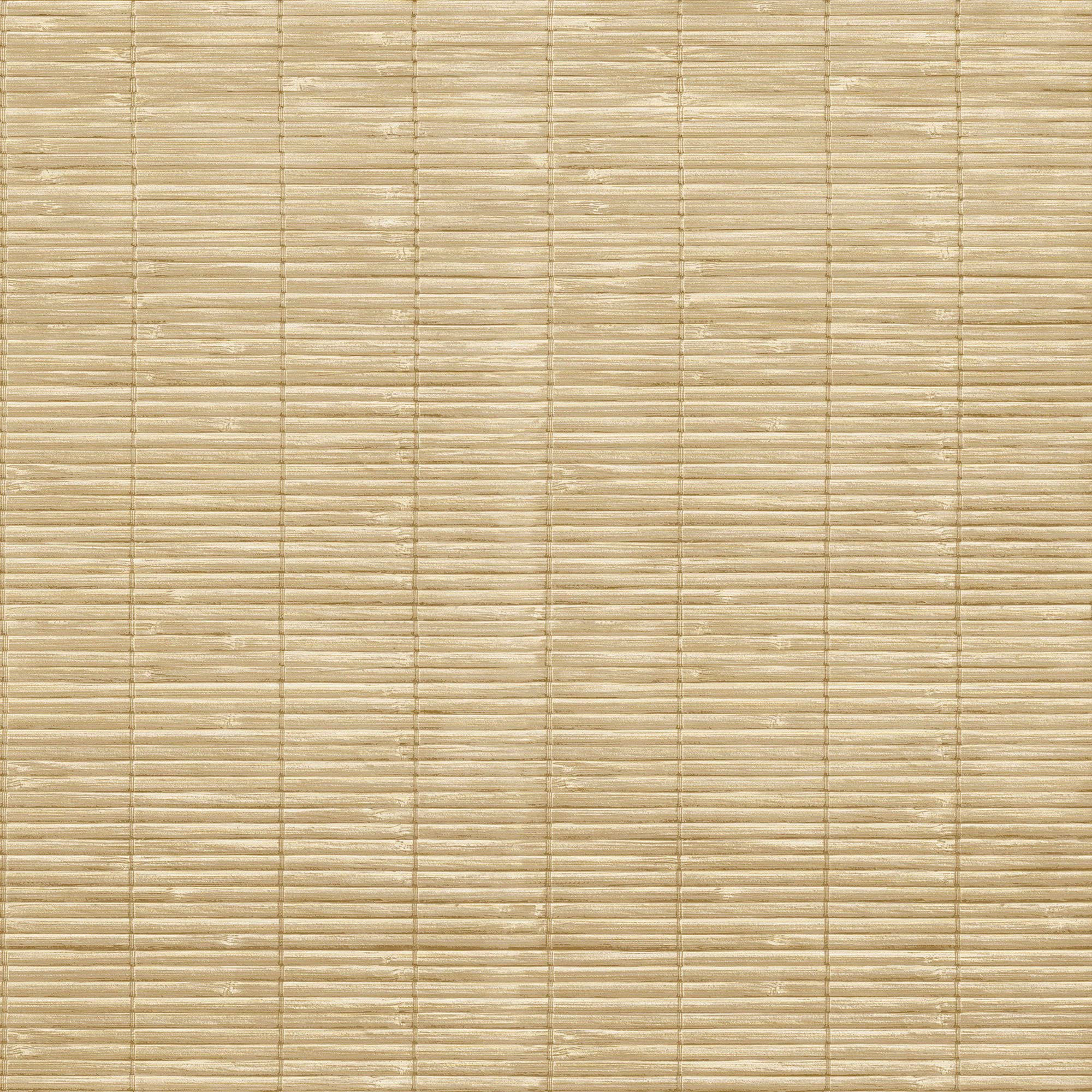 Galerie CM27072 Botanica Bali Bamboo Wallpaper, Beige, 10.05m x 53cm