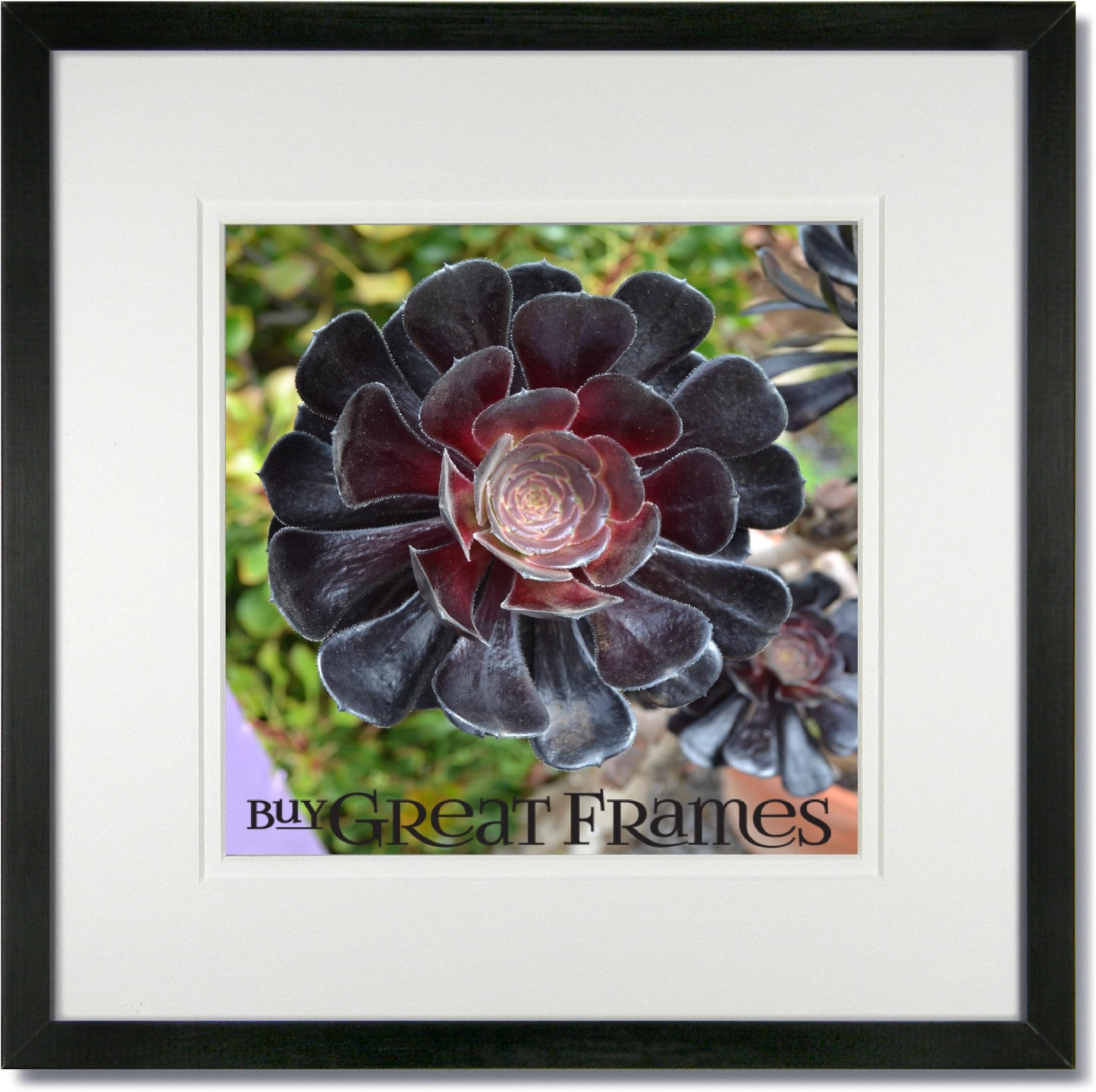 Set of 3 - 16x16 Square Black Wood Picture Frames and Clear Glass with White/White Double Mat for 12x12