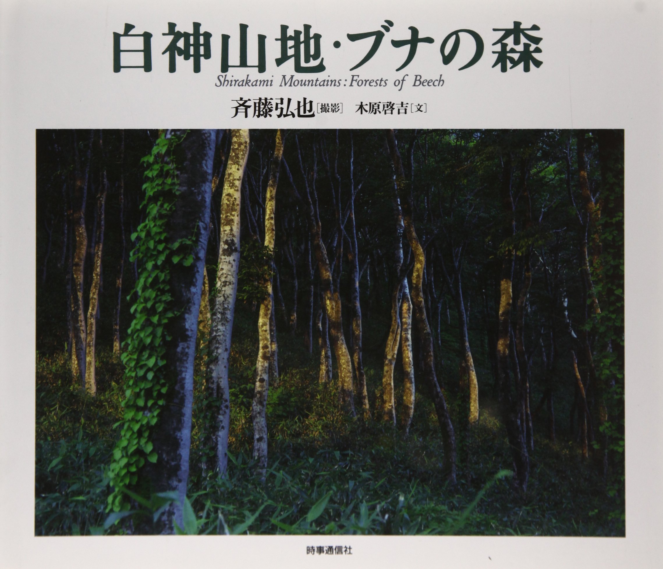 白神山地 ブナの森 Amazon Com Books