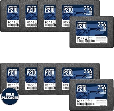 Patriot P210 256GB SSD 2.5 Inch SATA 3 Internal Solid State Drive 10 Pack