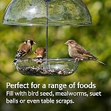 Jacobi Jayne I Love Robins Pearl Feeder Large - Clear Tray Dome view 6