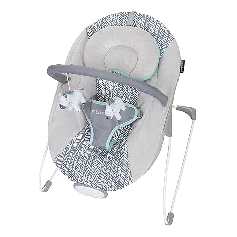 buy buy baby bouncer