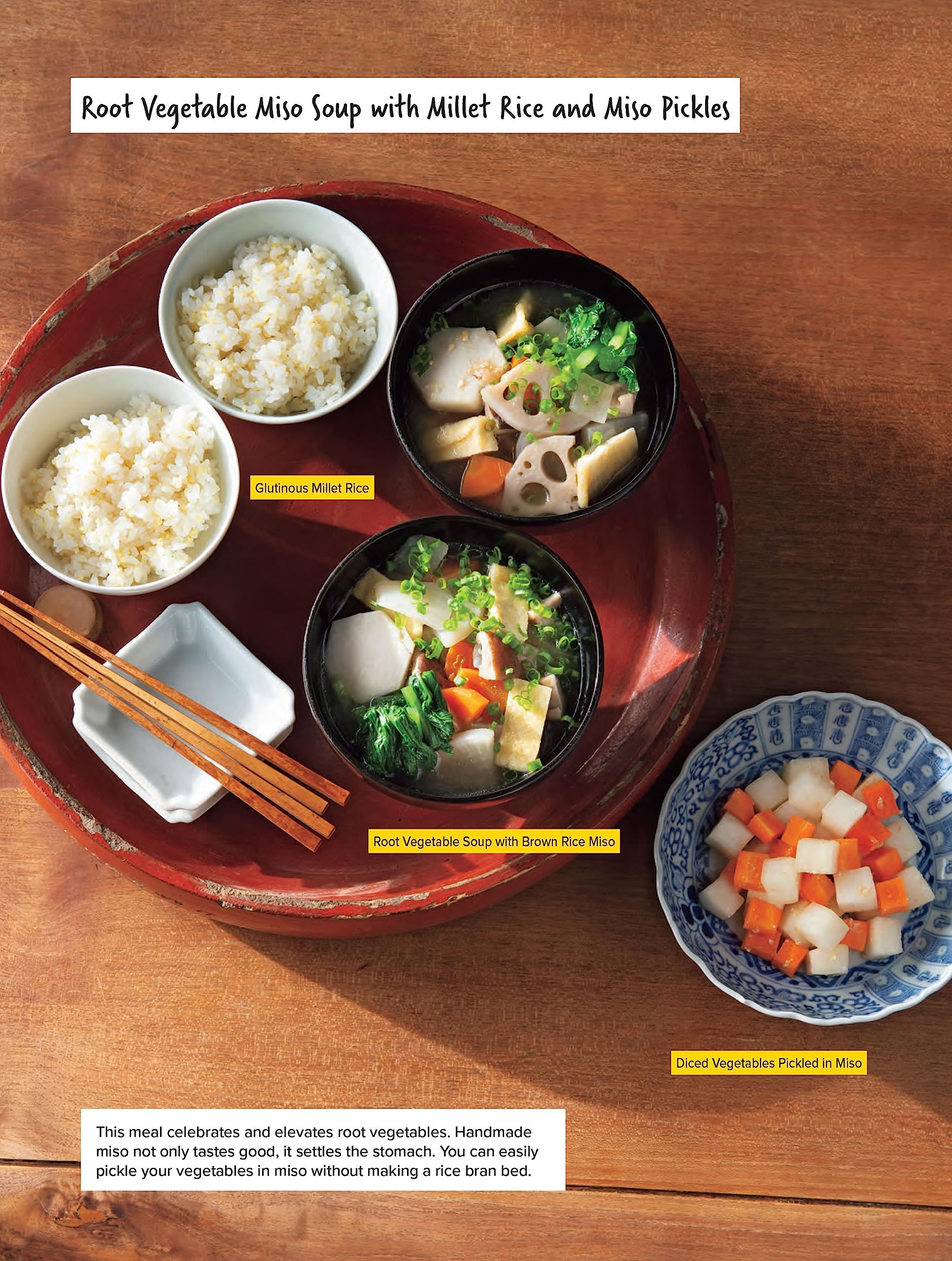 A Beginner's Guide to Japanese Fermentation: Healthy Home-Style Recipes Using Shio Koji, Amazake, Brown Rice Miso, Nukazuke Pickles & Much More!