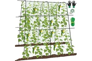 KIMKUSIA 64 x 64 Inch Garden Cucumber Trellis Vegetable Arch Trellis Green Bean Pea Grape Tomato Squash Trellises for Raised Bed Climbing Plants Outdoor