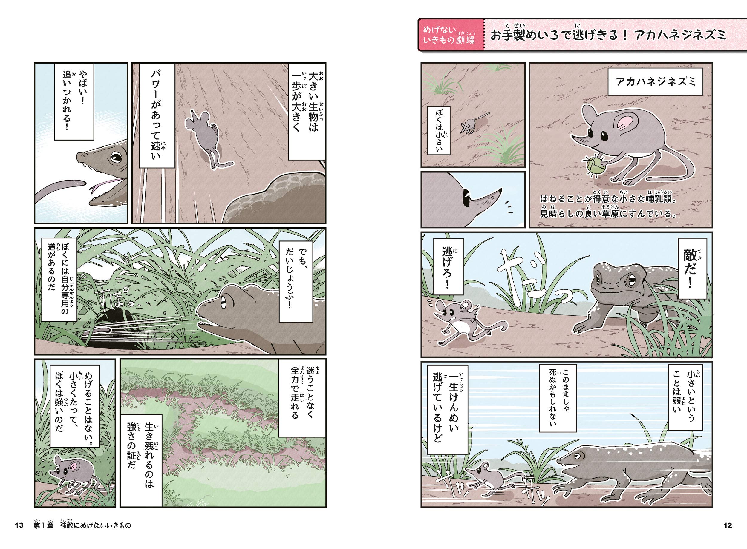生きのこるって 超たいへん めげないいきもの事典 宮沢 輝夫 成島 悦雄 宮沢 輝夫 本 通販 Amazon