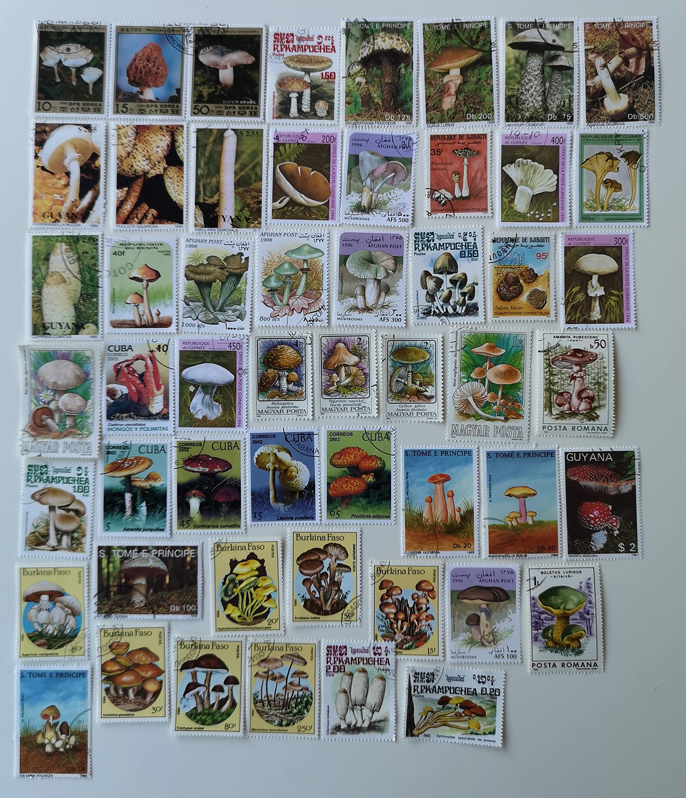 50 Different Mushrooms Postage Stamps (Stamps for Collectors)