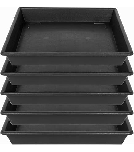 Amazon.com : LWALRS Square Plant Saucer 6inch 5 Pack, Plastic