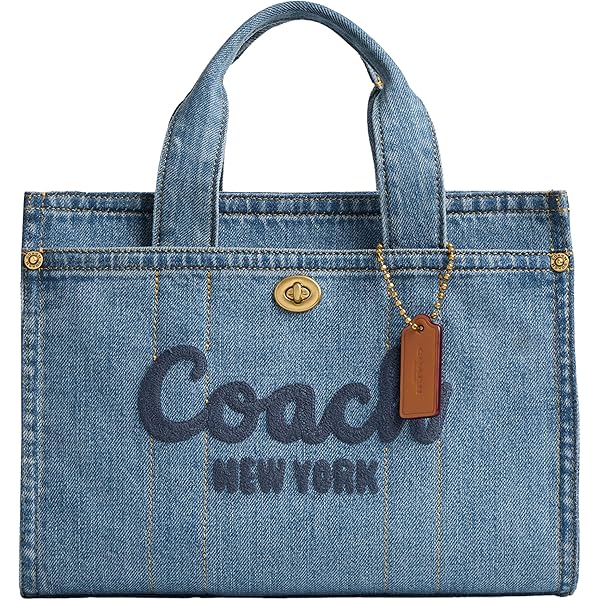 Coach Nasa Space Patch Rogue 10976 : Amazon.com.mx: Ropa, Zapatos