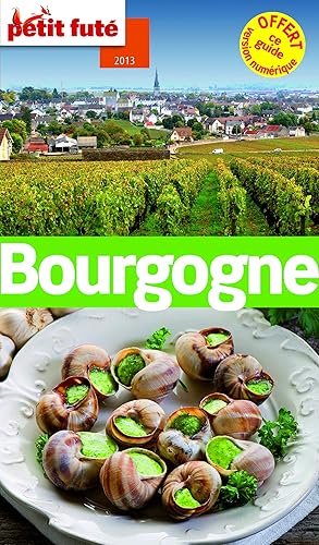 Download Petit Futé Bourgogne PDF