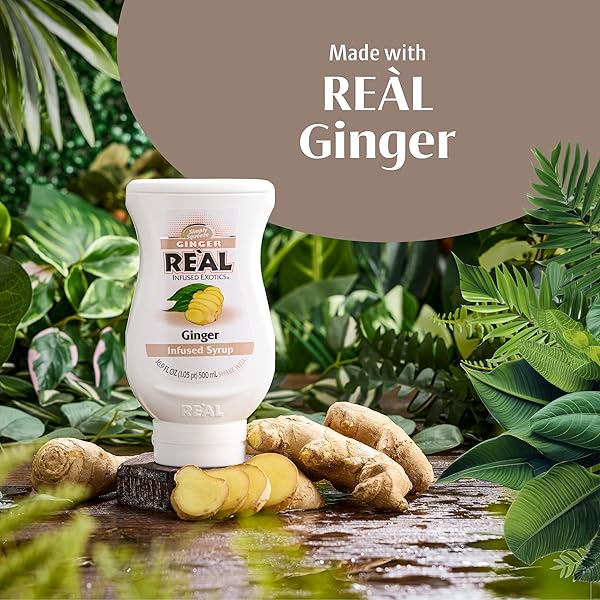 GINGER REÀL, GINGER INFUSED SYRUP, 16.9 FL OZ SQUEEZABLE BOTTLE (PACK OF 1)