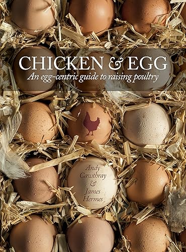 Download Chicken & egg PDF