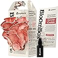 NuBlume Pink Oyster Mushroom Grow Kit, Grow Your Own Fresh Gourmet Mushrooms at Home, Includes Instructions and Recipes (Pink Oyster)