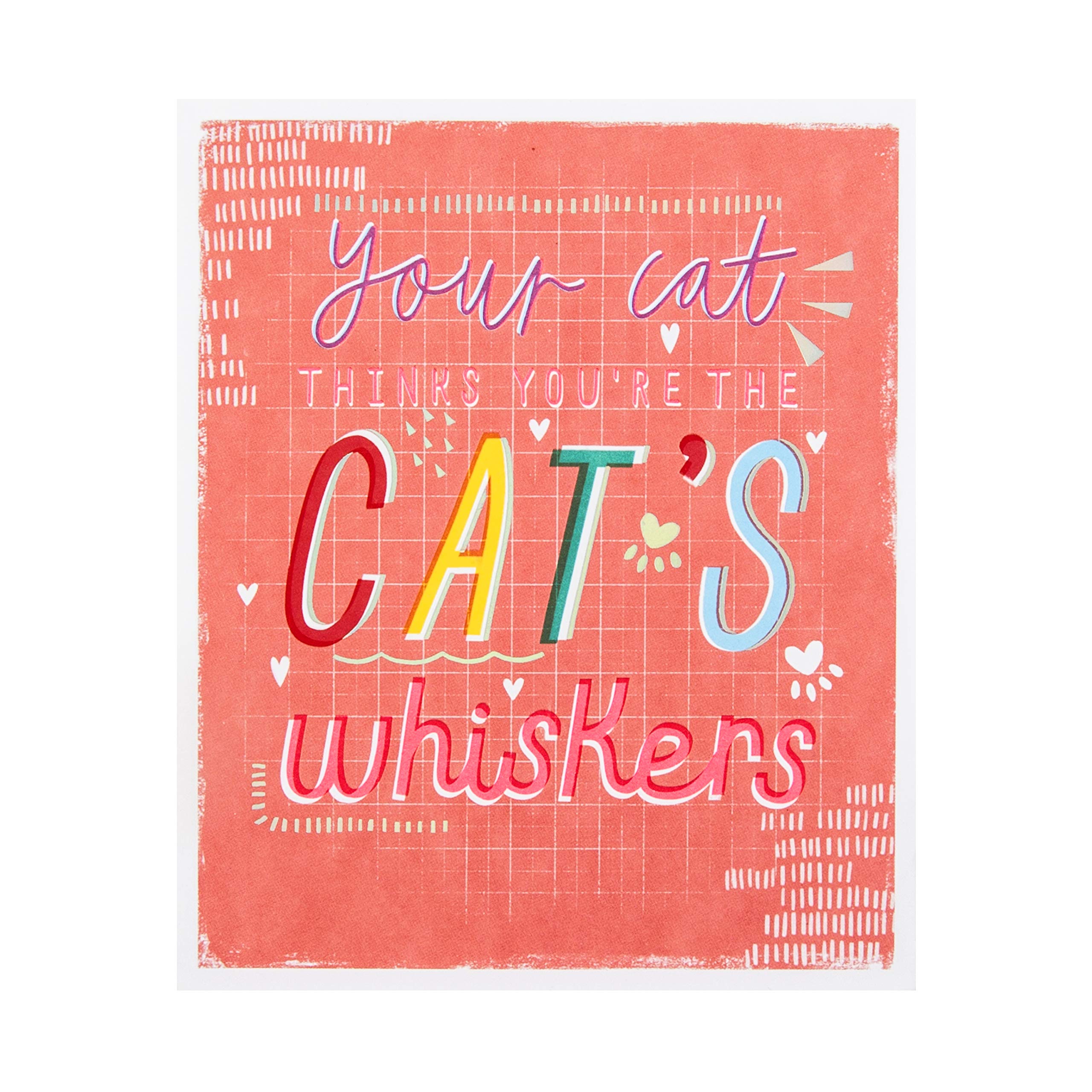 Hallmark Valentines Day Card from the Cat, Valentines Day Card, Fun Pink Message Design, Pink