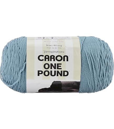 Amazon.com: Caron One Pound Azure Yarn - 2 Pack of 454g/16oz