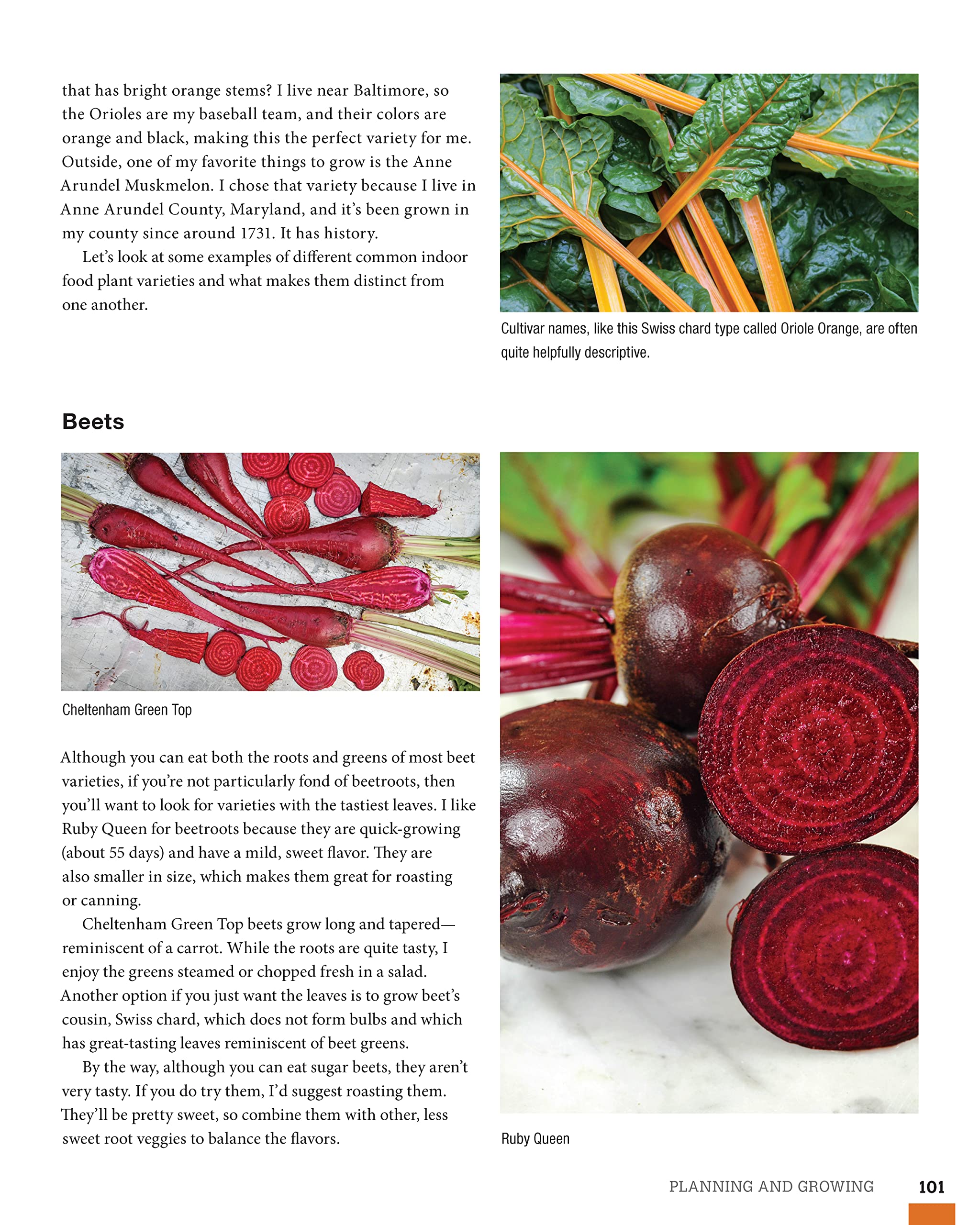 How to Garden Indoors & Grow Your Own Food Year Round: Ultimate Guide to Vertical, Container, and Hydroponic Gardening (Creative Homeowner) Vegetables, Herbs, DIY Projects, Composting, Lights, & More