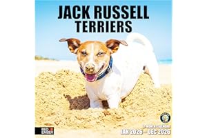RED EMBER Jack Russell Terriers 2026 Wall Calendar 12 Month | 12" x 24" Open | Thick & Sturdy Paper | Giftable | Calendar 2026