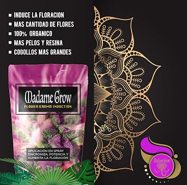 MADAME GROW / Kit Bloom Complet - REVIENTA COGOLLOS/Marihuana o ...