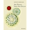 Art Forms from the Ocean: The Radiolarian Prints of Ernst Haeckel