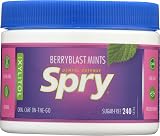 Spry Xylitol Berry Blast Mints Sugar Free Candy 240 Count