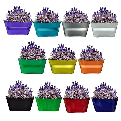 GIG Metal Gardening Planting Pot for Garden/Balcony/Table Flowering Planters/Home Decor (20 x 11 x 9 cm) (Multicolor) (Pack of 11)
