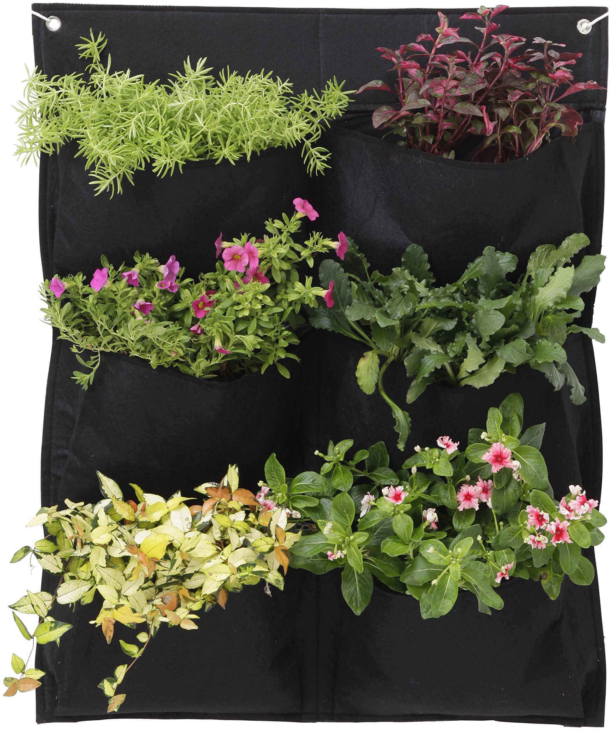 VegTrug FWP10BK Wall Felt Planter - Black