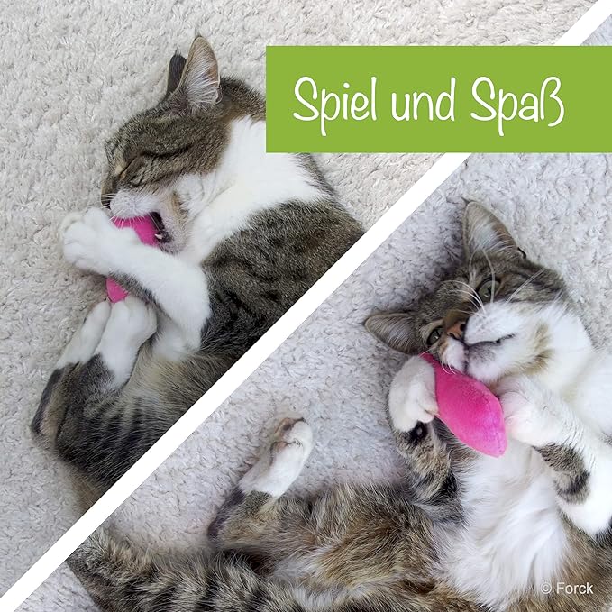 Forck Coussin Valeriane 3 Pieces Coussin Calin Avec Valeriane Extra Naturelle Pour Caliner Et Jouer Jouets Naturels Pour Chat Pour Tous Les Chats Et Chatons Appropries Amazon Fr Animalerie