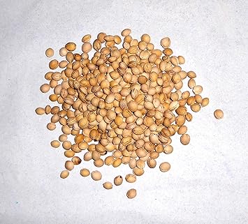 Bären & Bastel Versand 5 kg Kirschkerne, lose,Wärme-/Kältetherapie