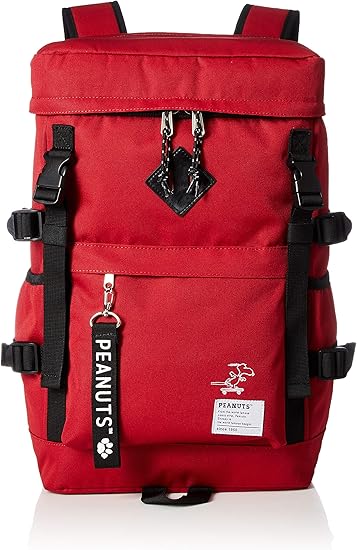 skateboard backpack amazon