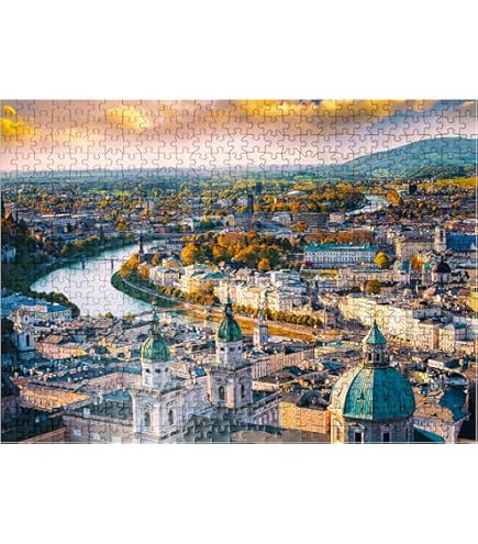 Piatnik ハプスブルク家　パズル　1000ピース Piatnik ハプスブルク家 パズル 1000ピースの通販 by すまいる