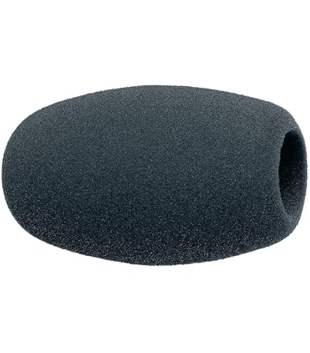 Amazon.com: Sennheiser 004839 windscreen for all EW wired and