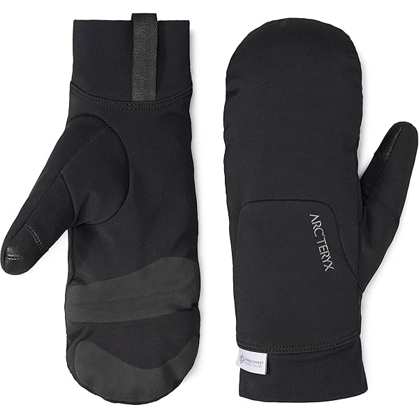 Amazon.com : Arc'teryx Rho Glove | Synthetic Moisture