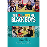 The Brilliance of Black Boys: Cultivating School Success in the Early Grades book cover