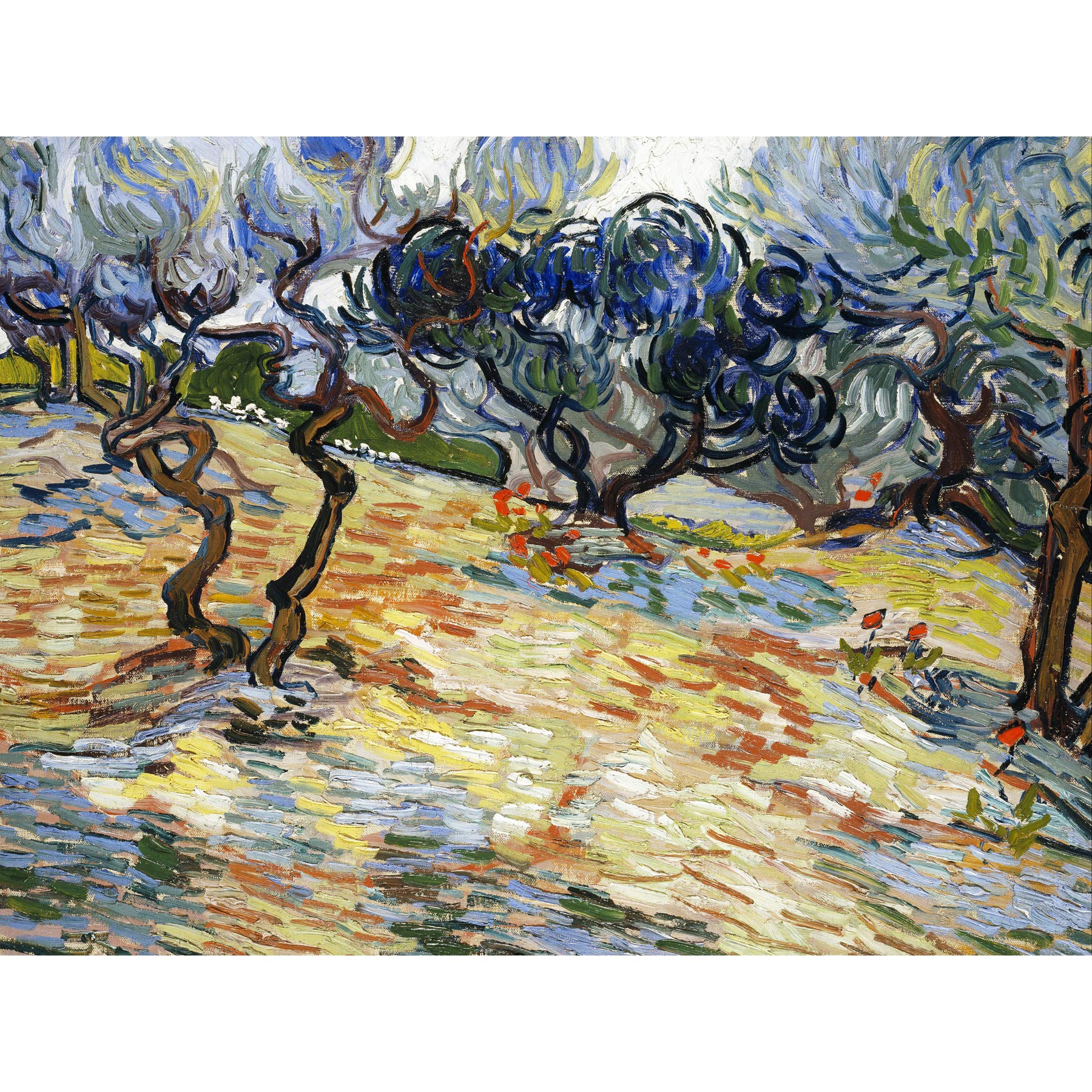 Vincent Van Gogh Olive Trees Large Wall Art Print Canvas Premium Poster Mural